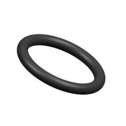 o-ring (2)